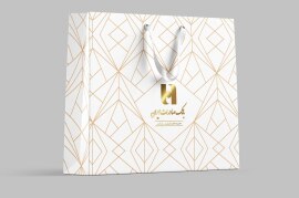 طرح و اجرا ساکدستی باک صادرات